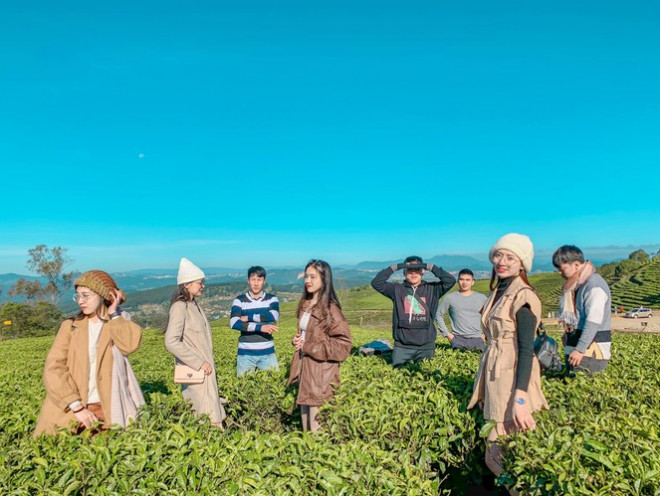 chụp ảnh Tết nhóm tại Đà Lạt chụp ảnh Tết nhóm tại Đà Lạt