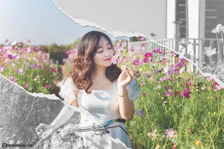 Dịch vụ ghép ảnh: Tạo nên những tác phẩm nghệ thuật độc đáo